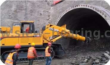 Cilindru rulment rulment Xuzhou Single Row Non-Gear Inel de rulare inel pentru macara Excavator